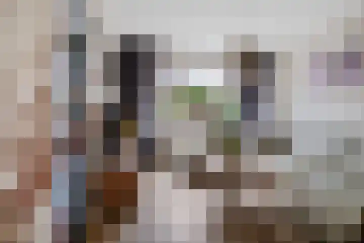 Ikeloane 27 Harkema thumbnail 9
