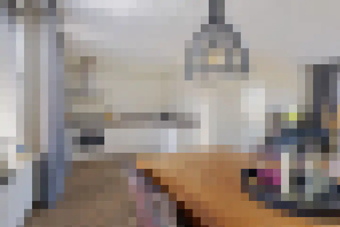 Ikeloane 33 Harkema thumbnail 10