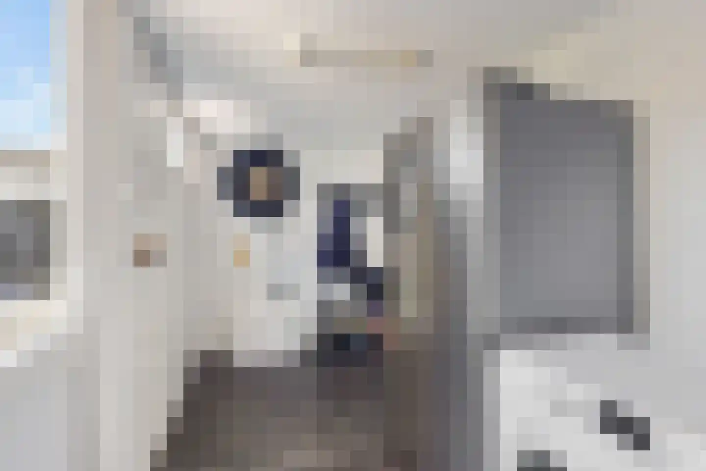 Ikeloane 33 Harkema thumbnail 13