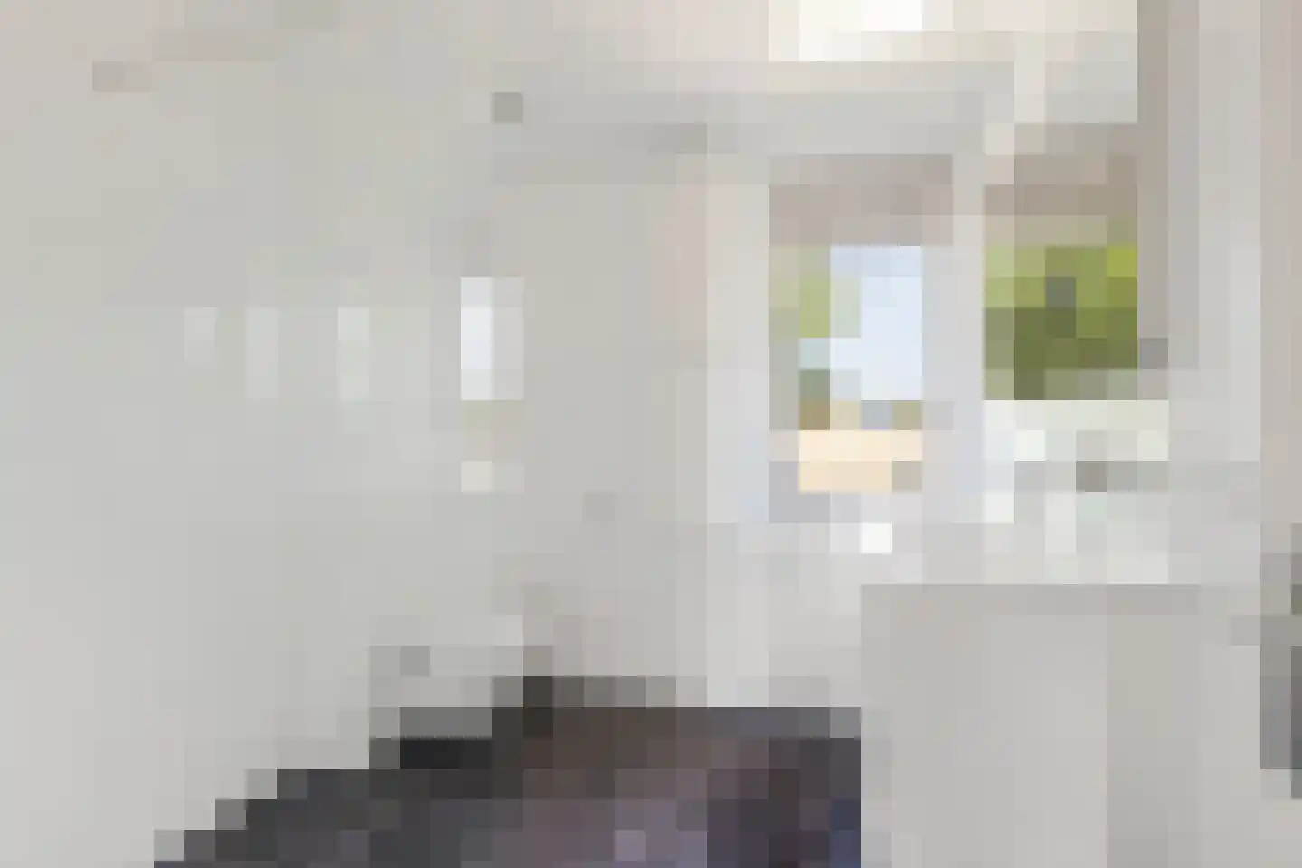 Ikeloane 33 Harkema thumbnail 20