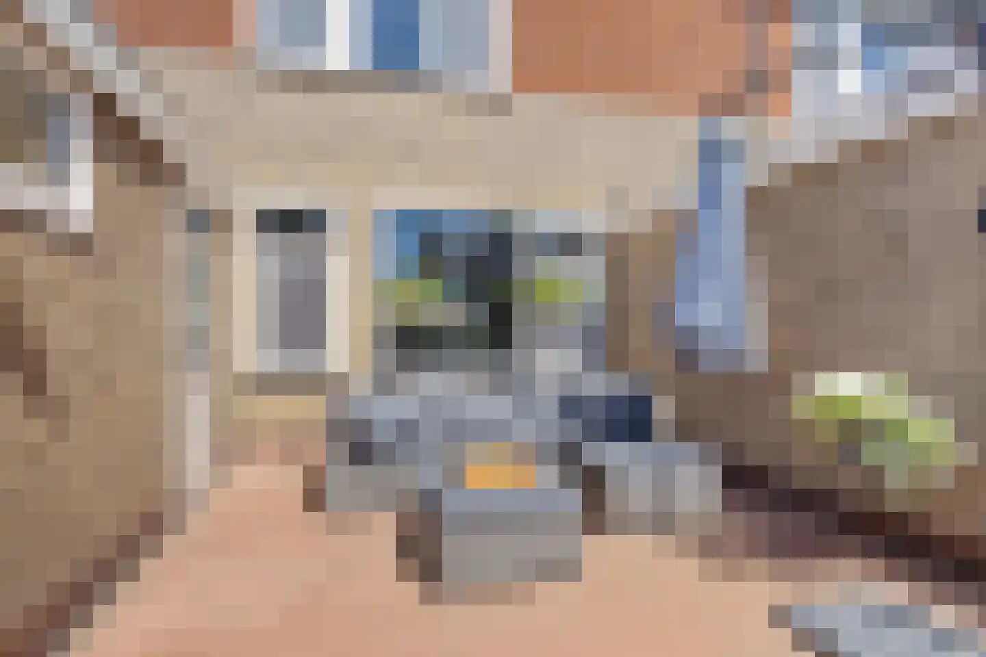 Ikeloane 33 Harkema thumbnail 32
