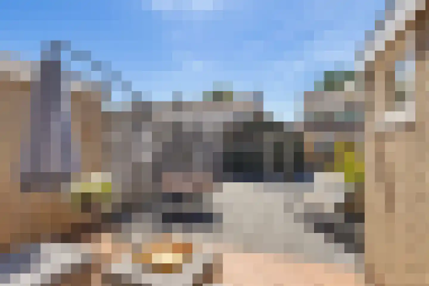 Ikeloane 33 Harkema thumbnail 33