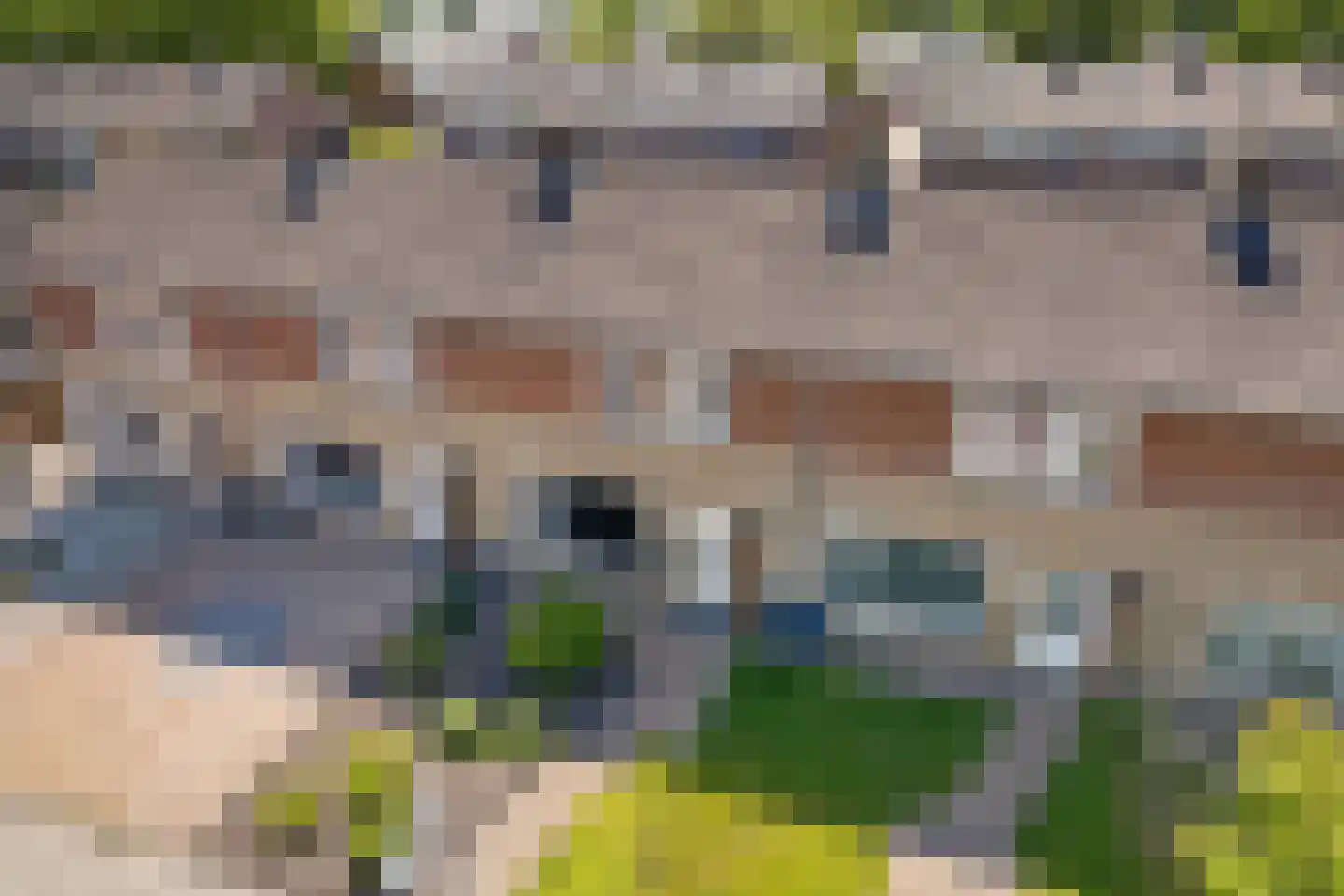 Ikeloane 33 Harkema thumbnail 39