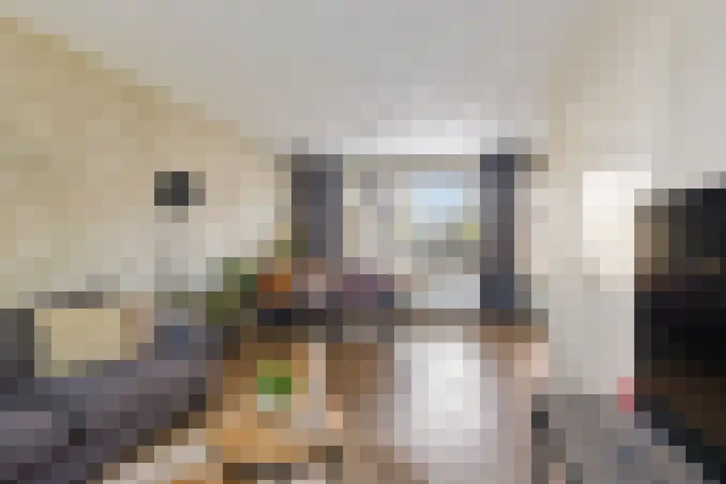 Ikeloane 33 Harkema thumbnail 9