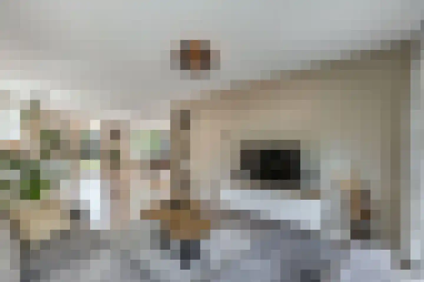 Ikesingel 35 Hemrik thumbnail 15