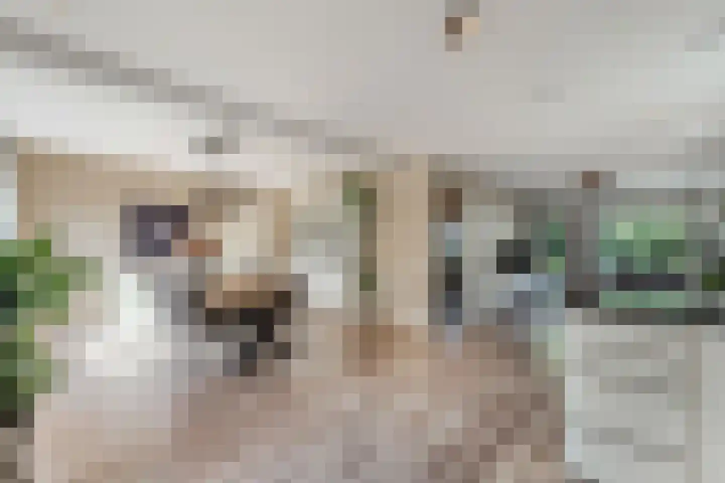 Ikesingel 35 Hemrik thumbnail 18