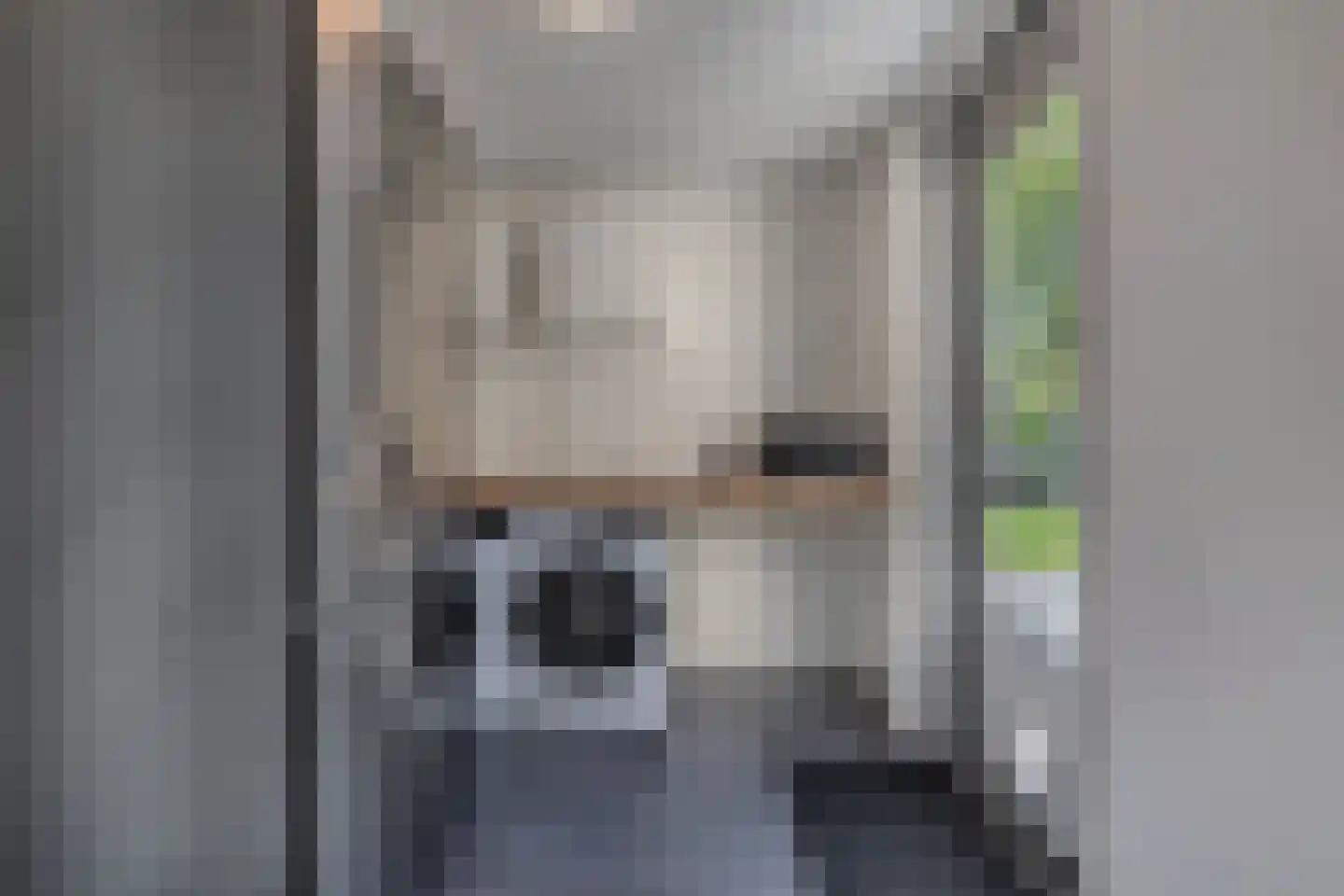 Ikesingel 35 Hemrik thumbnail 24