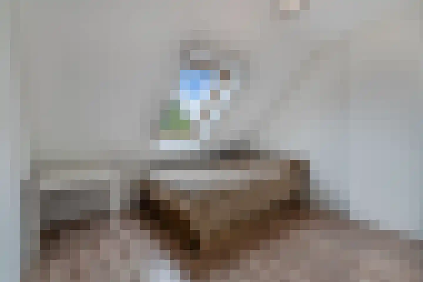 Ikesingel 35 Hemrik thumbnail 30