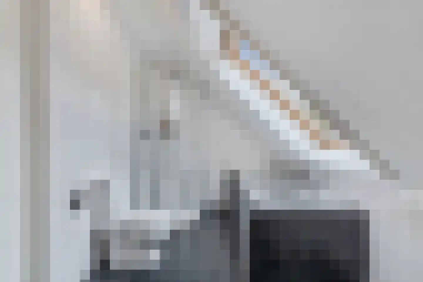 Ikesingel 35 Hemrik thumbnail 34