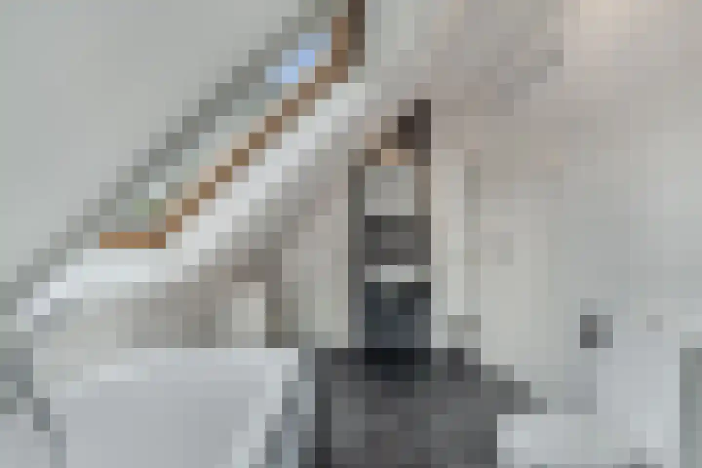 Ikesingel 35 Hemrik thumbnail 35