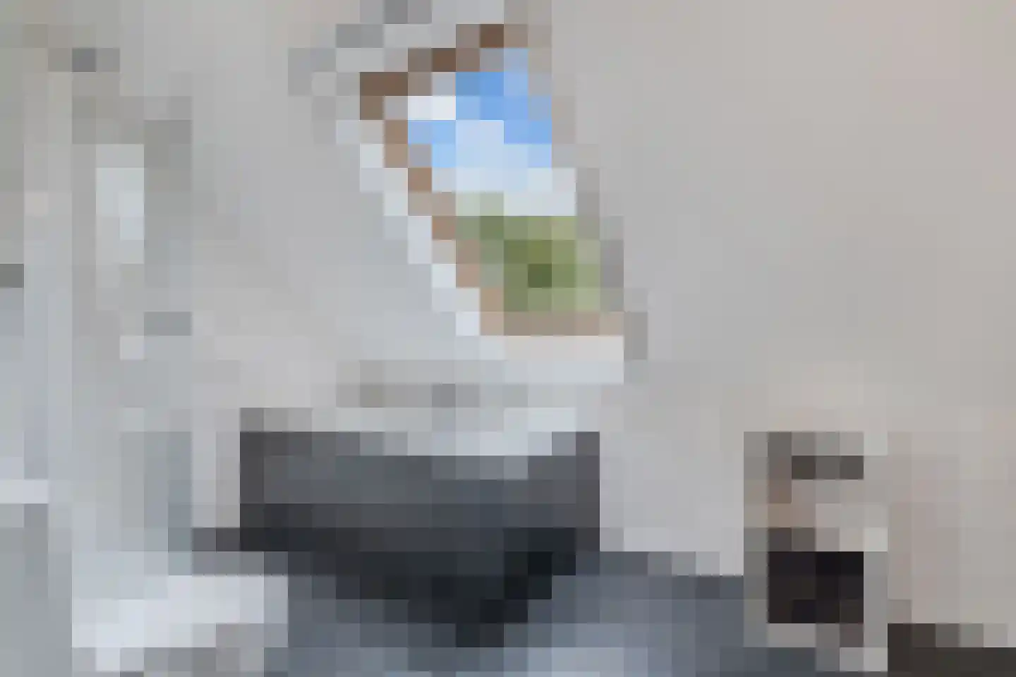 Ikesingel 35 Hemrik thumbnail 36