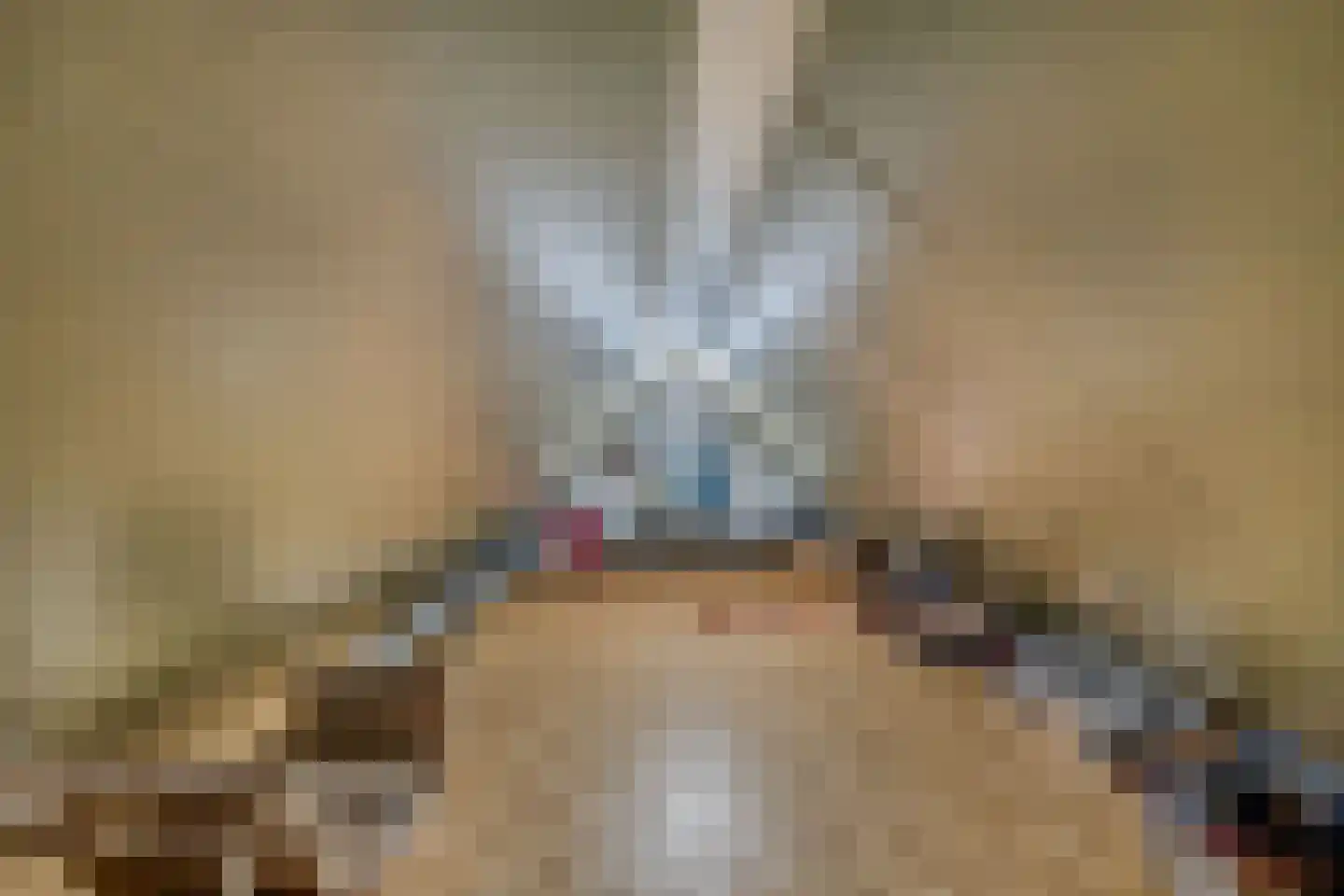 Ikesingel 35 Hemrik thumbnail 37