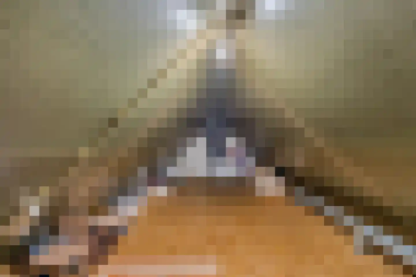 Ikesingel 35 Hemrik thumbnail 38