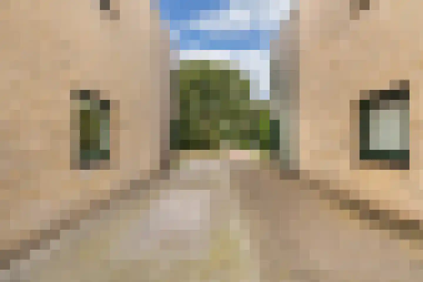 Ikesingel 35 Hemrik thumbnail 42