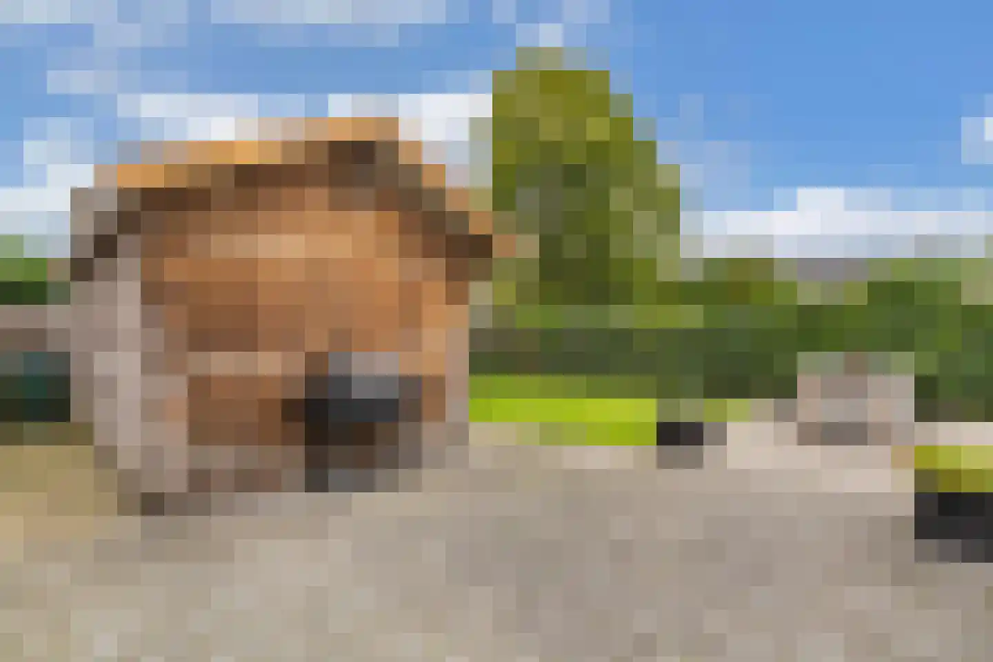Ikesingel 35 Hemrik thumbnail 49