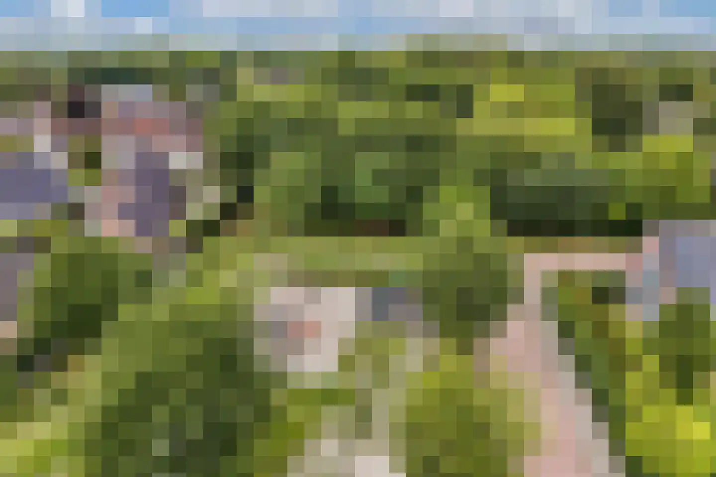 Ikesingel 35 Hemrik thumbnail 55