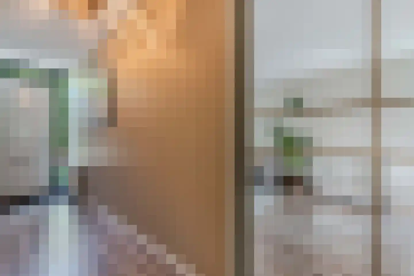 Ikesingel 35 Hemrik thumbnail 7