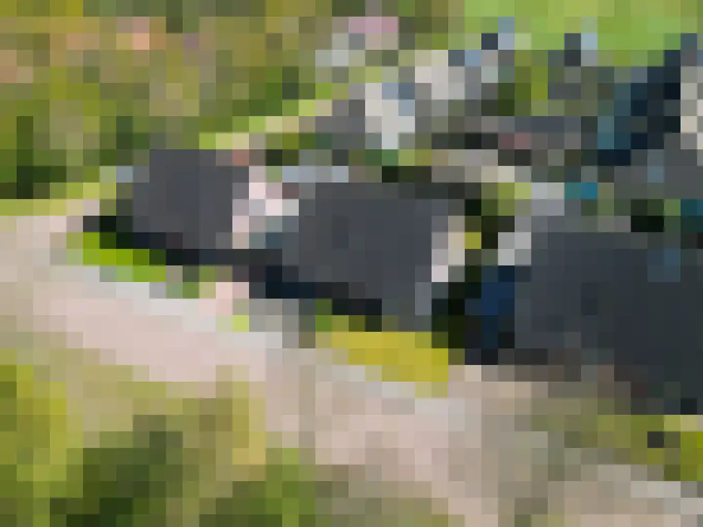 Ikesingel 9 Hemrik thumbnail 10