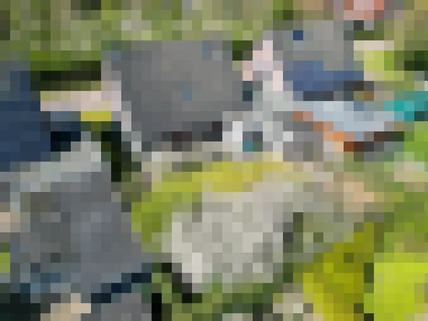 Ikesingel 9 Hemrik thumbnail 11
