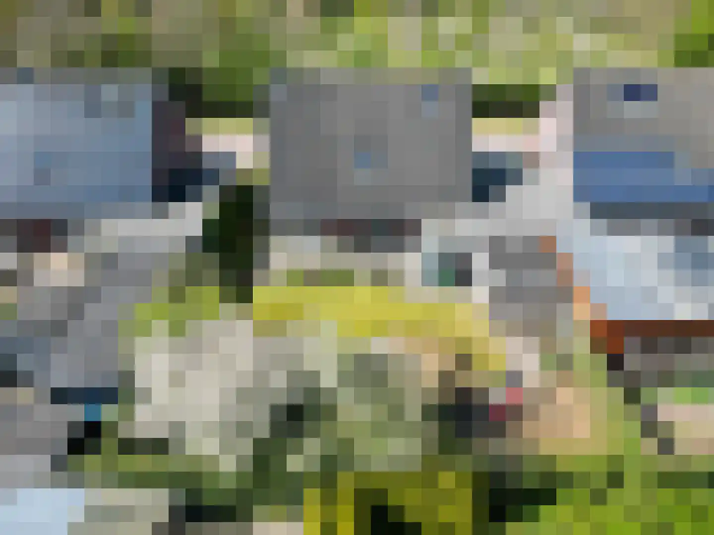 Ikesingel 9 Hemrik thumbnail 11