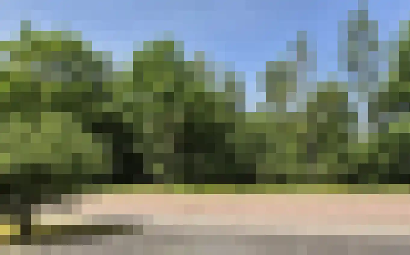 Ikesingel 9 Hemrik thumbnail 12