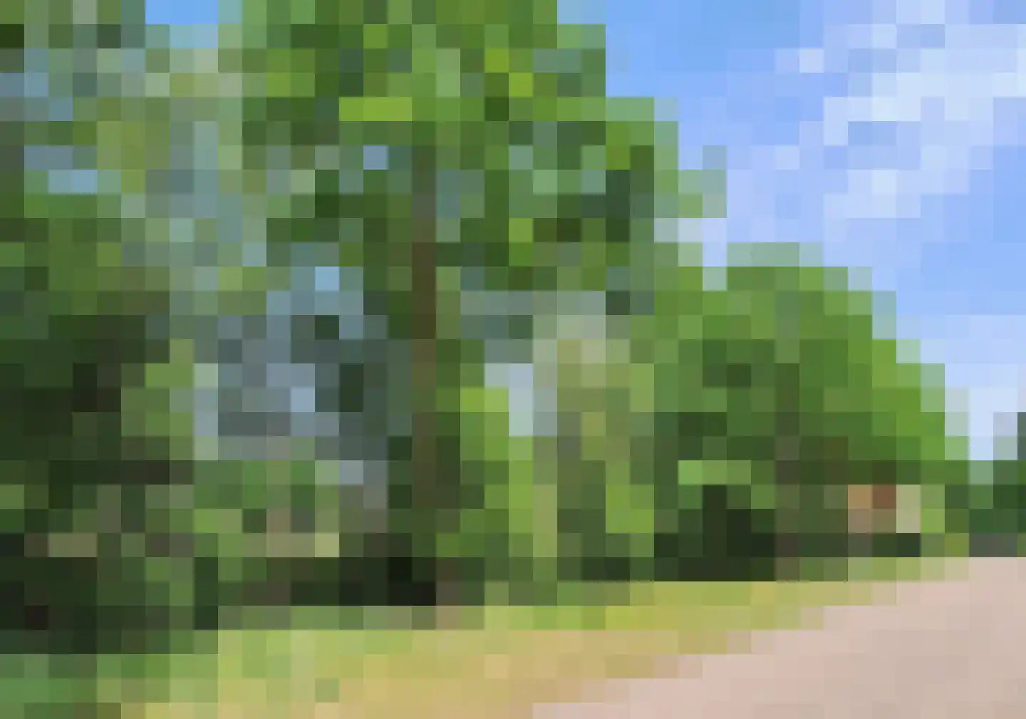 Ikesingel 9 Hemrik thumbnail 14