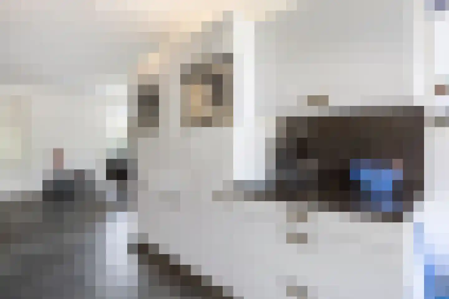 Ikesingel 9 Hemrik thumbnail 25