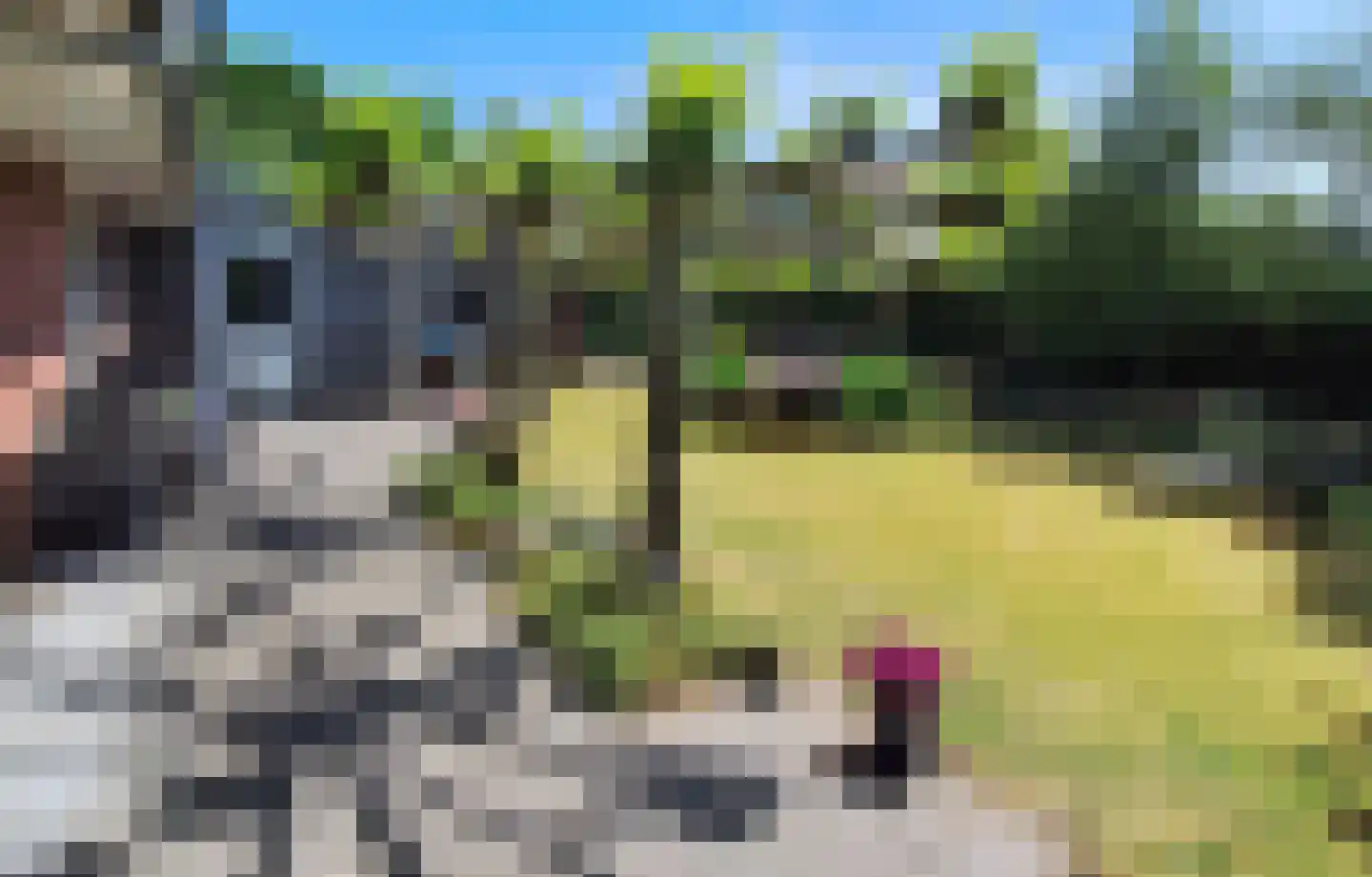 Ikesingel 9 Hemrik thumbnail 28