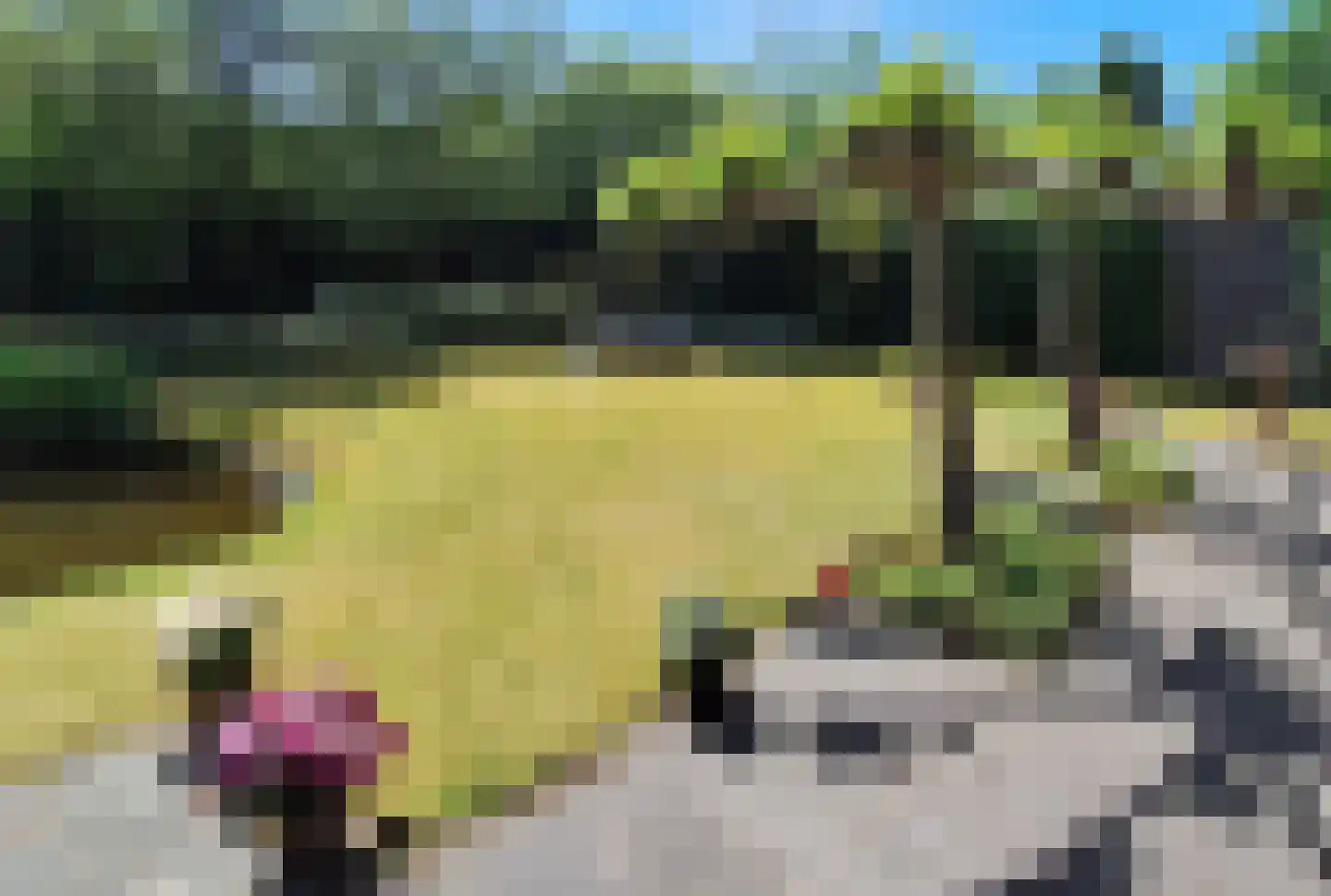 Ikesingel 9 Hemrik thumbnail 29