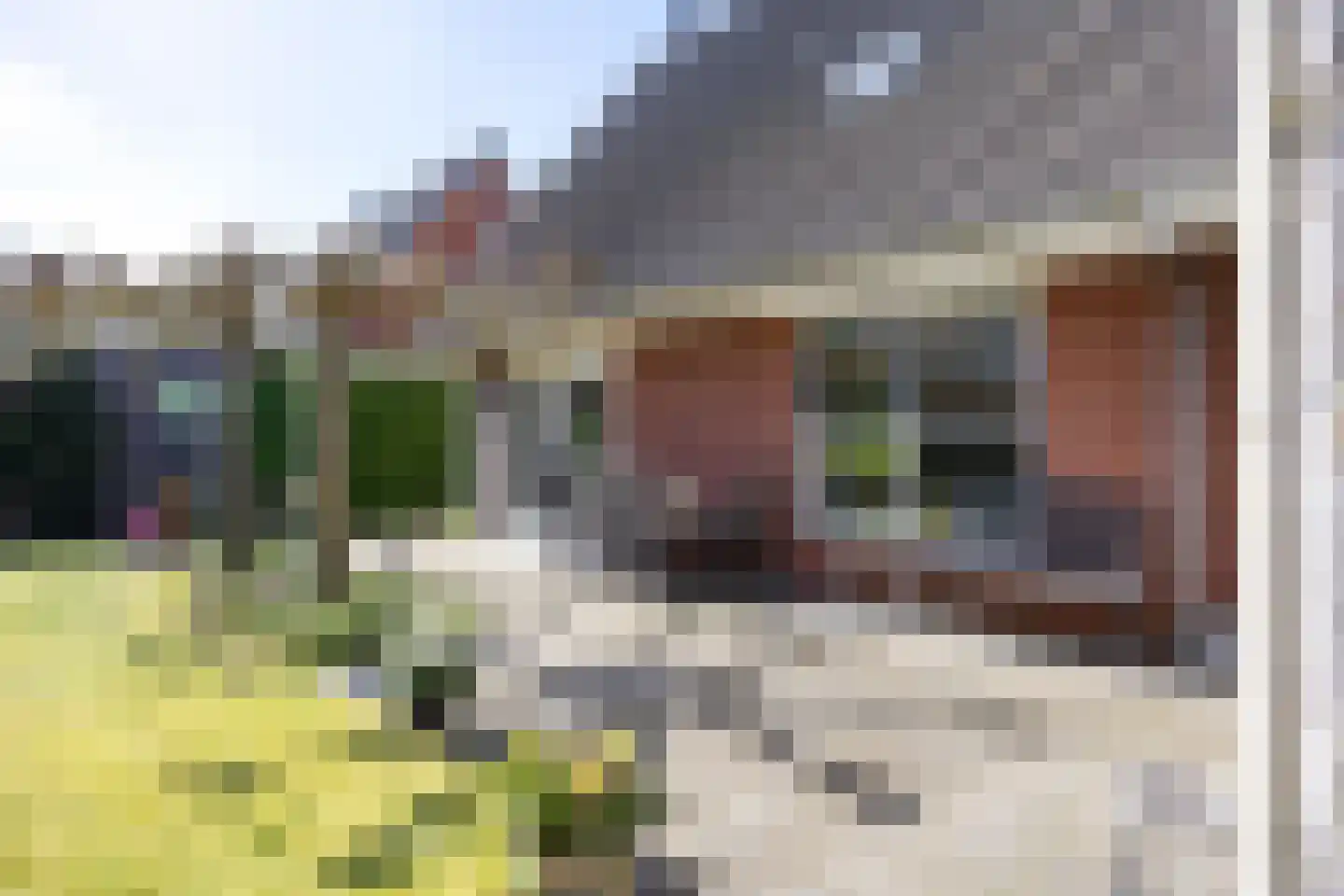 Ikesingel 9 Hemrik thumbnail 30