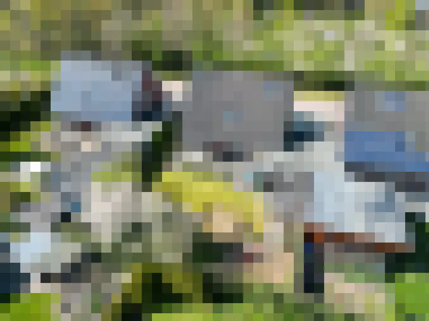 Ikesingel 9 Hemrik thumbnail 32