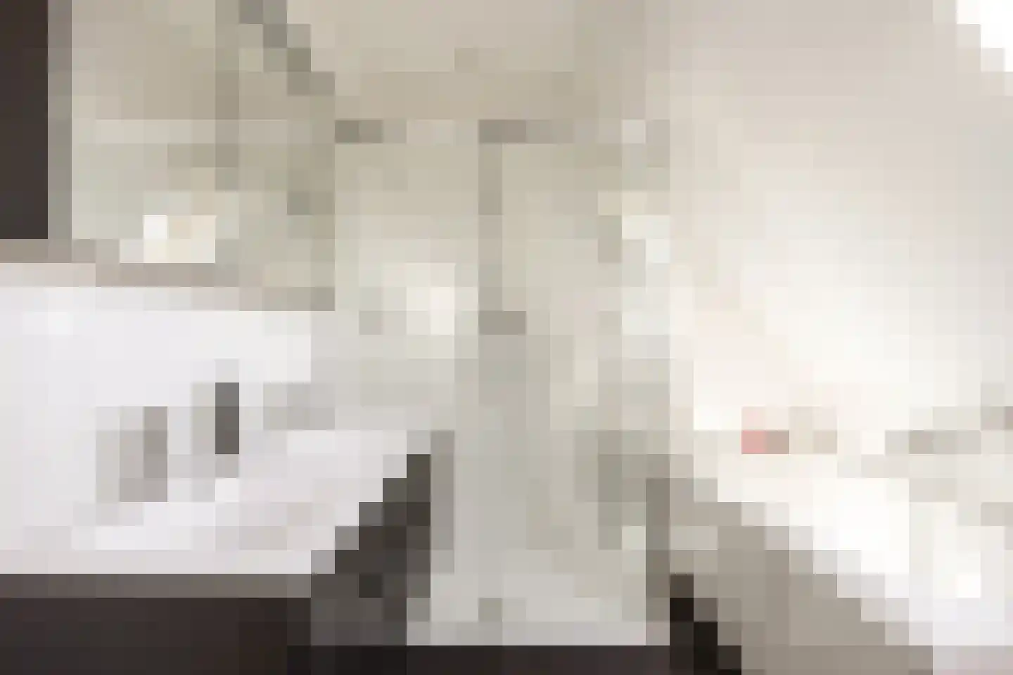 Ikesingel 9 Hemrik thumbnail 37