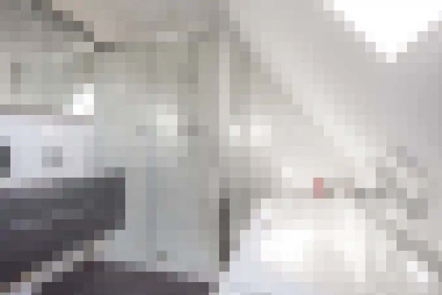 Ikesingel 9 Hemrik thumbnail 38