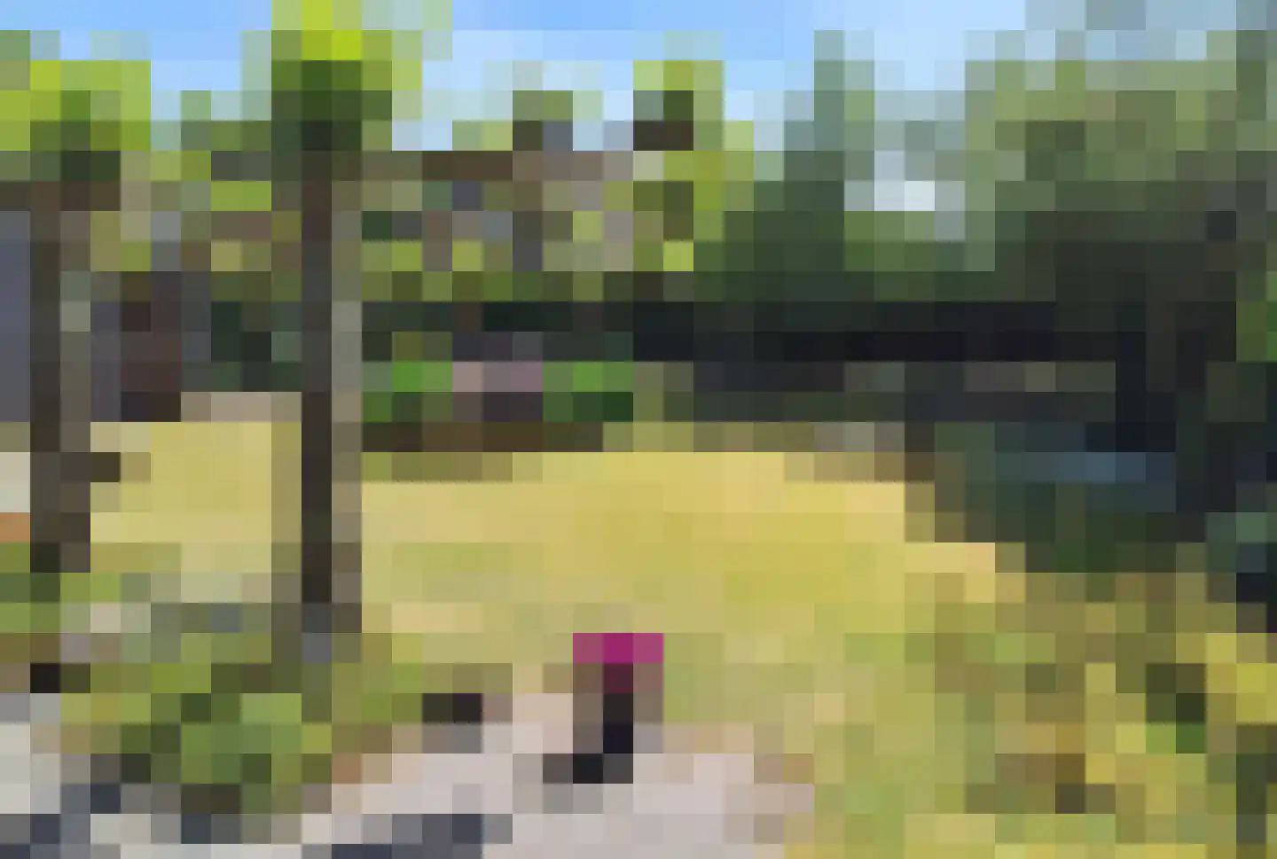 Ikesingel 9 Hemrik thumbnail 41