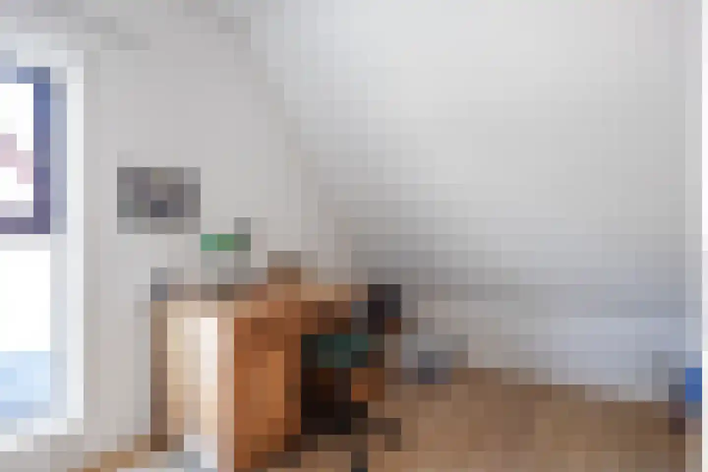 Ikesingel 9 Hemrik thumbnail 43