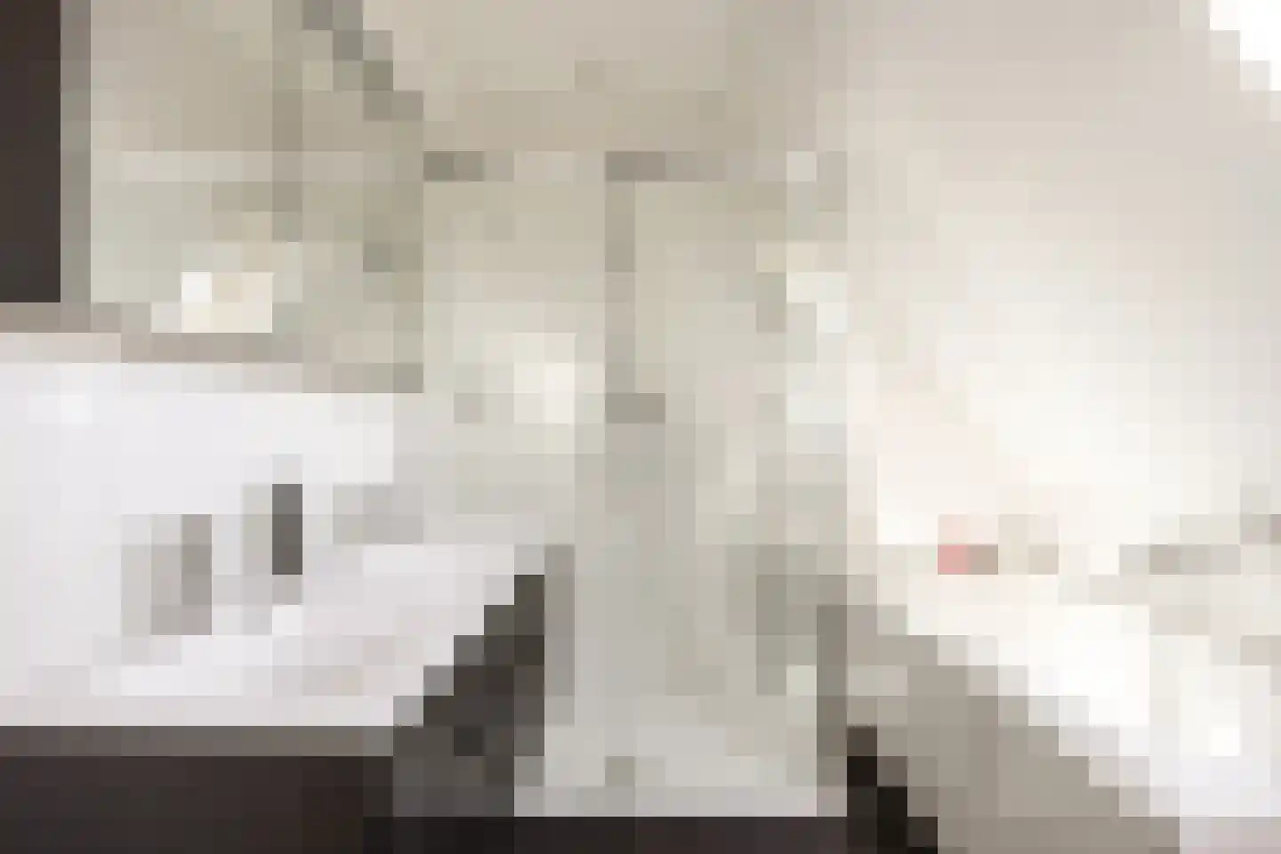 Ikesingel 9 Hemrik thumbnail 46
