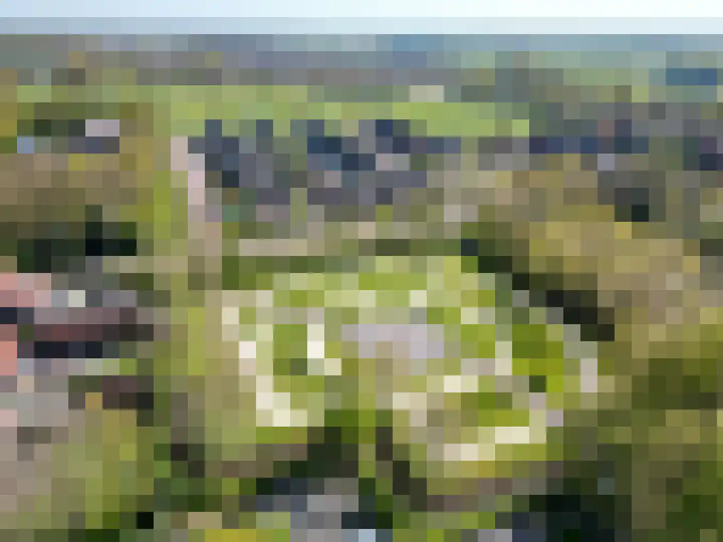 Ikesingel 9 Hemrik thumbnail 7