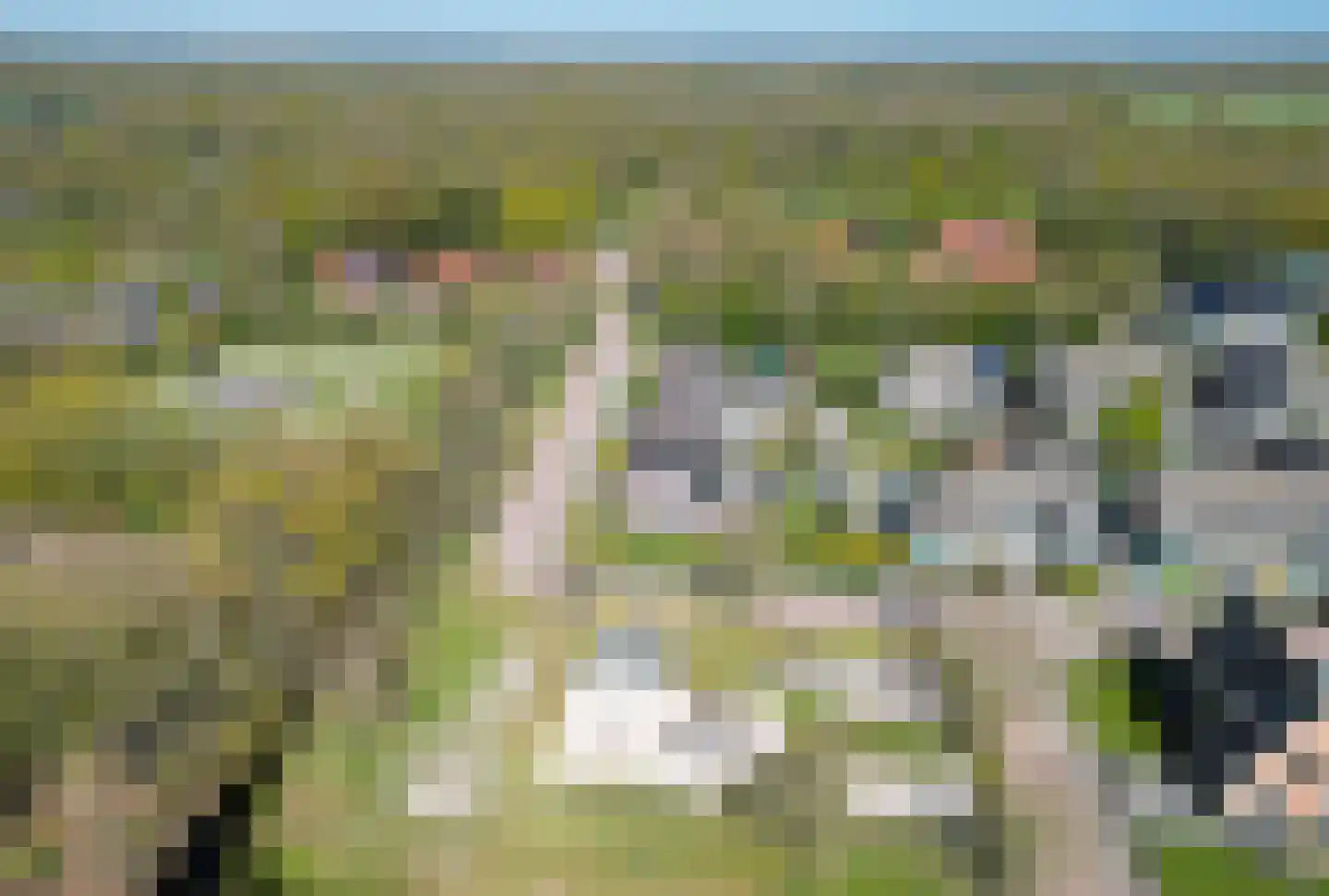 Ikesingel 9 Hemrik thumbnail 9