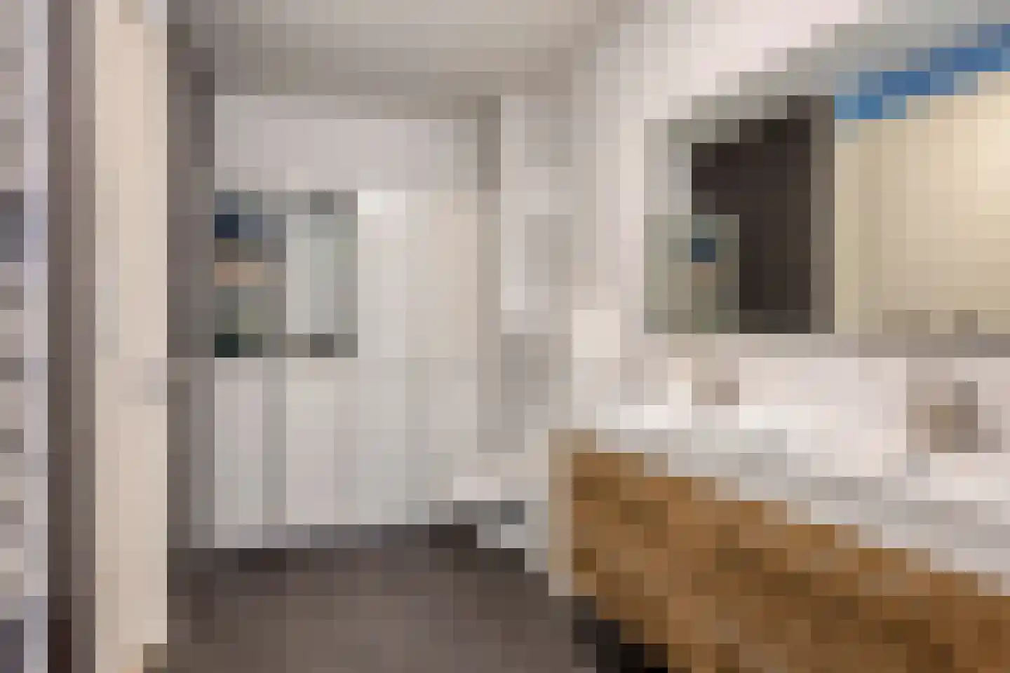 Ikihof 1 Almere thumbnail 14