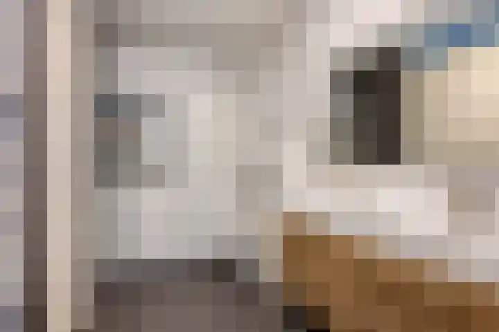 Ikihof 1 Almere thumbnail 14