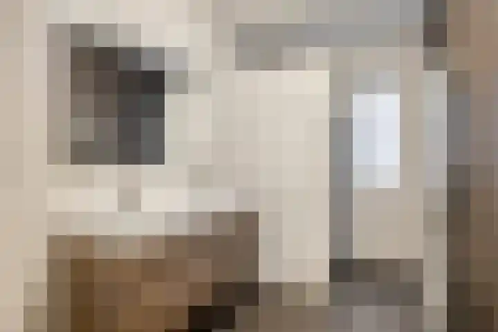Ikihof 1 Almere thumbnail 15