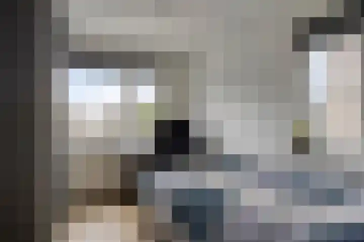 Ikihof 1 Almere thumbnail 17