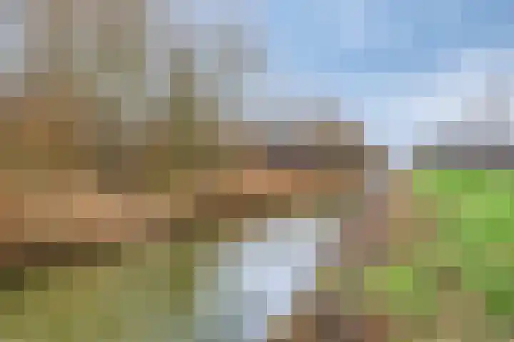 Ikihof 1 Almere thumbnail 31