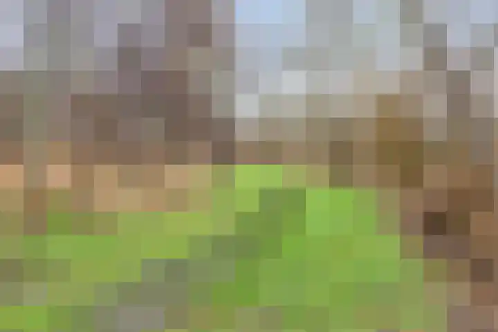 Ikihof 1 Almere thumbnail 32