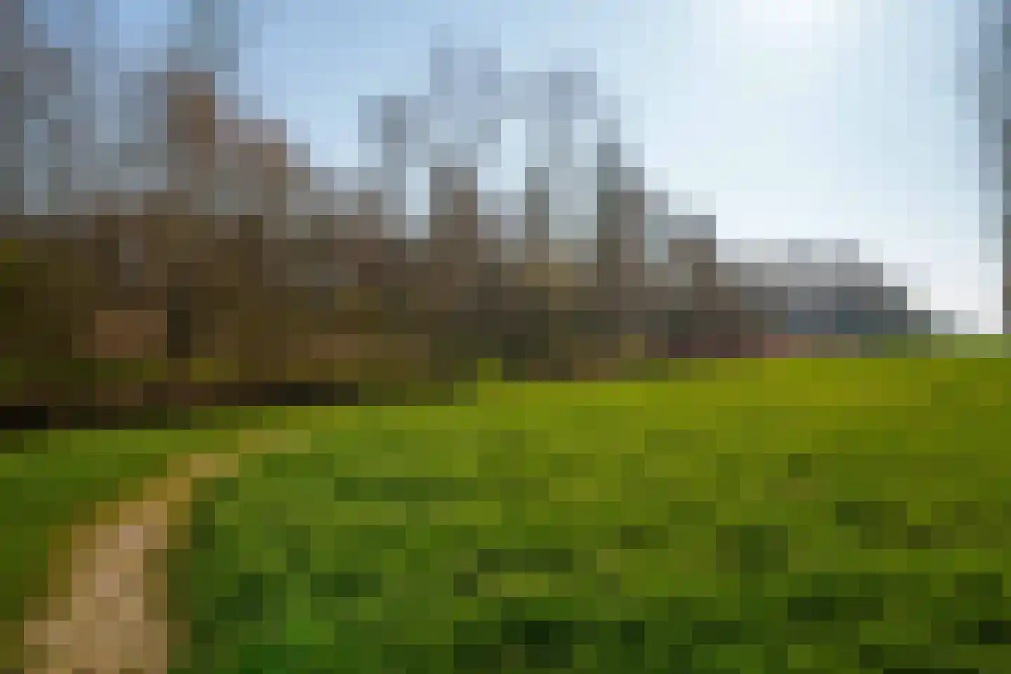 Ikihof 1 Almere thumbnail 37