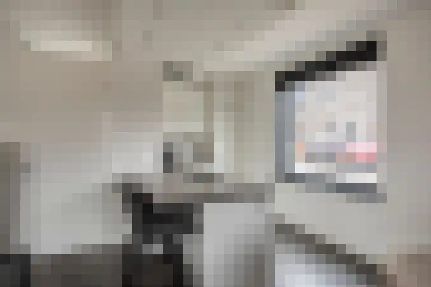 Ikihof 1 Almere thumbnail 7