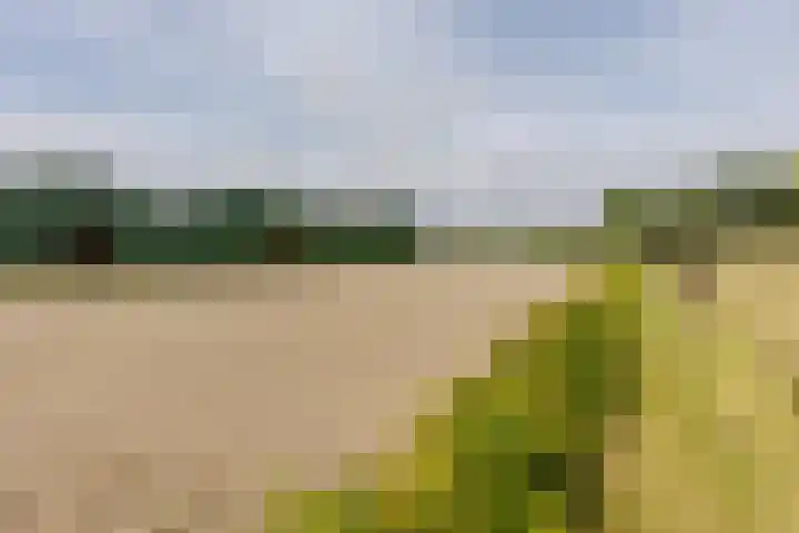 Ikkerseweg 2 Hellevoetsluis thumbnail 29