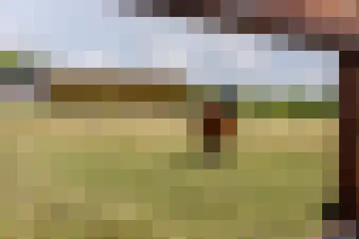 Ikkerseweg 2 Hellevoetsluis thumbnail 30