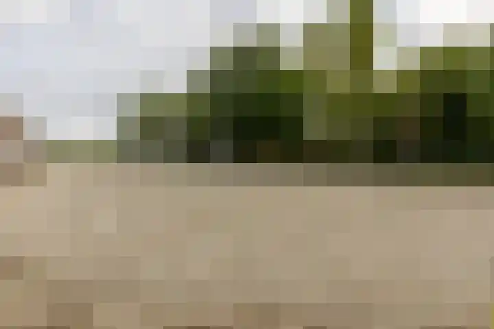 Ikkerseweg 2 Hellevoetsluis thumbnail 31