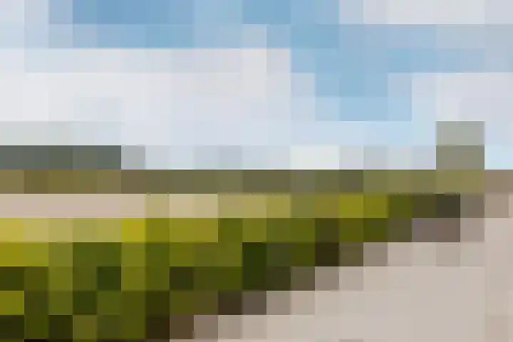 Ikkerseweg 2 Hellevoetsluis thumbnail 37